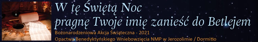 Weihnachtsaktion 2021 - Banner POLNISCH (png)