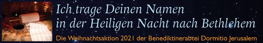Weihnachtsaktion 2021 - Banner DEUTSCH (png)