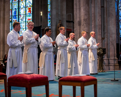Priesterweihe im Kölner Dom: Weihekandidaten (Foto: Vera Drewke).