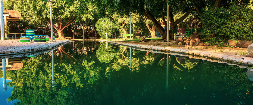 Der Pool im Garten von Tabgha - gespeist aus den Quellen.