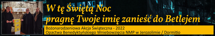Weihnachtsaktion 2022 - Banner POLNISCH (jpg)