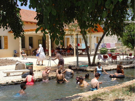 Blick auf das Haus und den Garten mit Pool