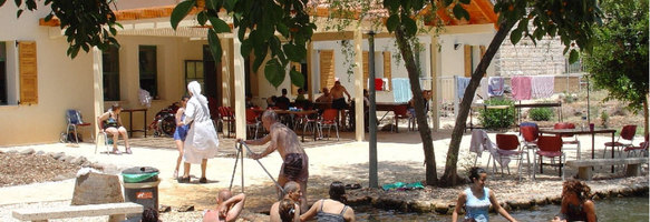 Blick auf das Haus und den Garten mit Pool