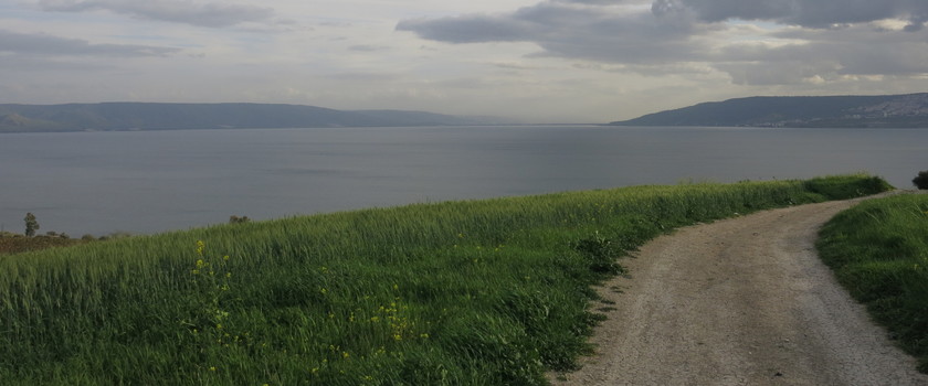 Blick auf den See im Frühjahr