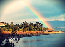 Regenbogen über Dalmanutha.