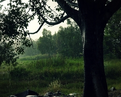 Frühling in Galiläa &#150; Regenstunden am Gründonnerstag (© Sebastian Heide).