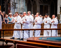 Priesterweihe im Kölner Dom: Liturgischer Einzug (Foto: Vera Drewke).