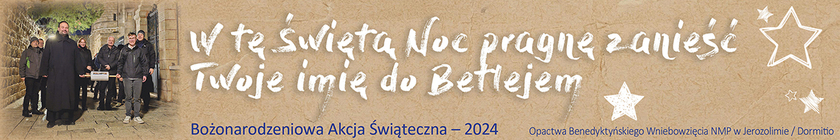 Weihnachtsaktion 2024 - Banner POLNISCH (jpg)