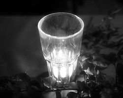 Frühling in Galiläa &#150; Licht im Dunkel (© Sebastian Heide).
